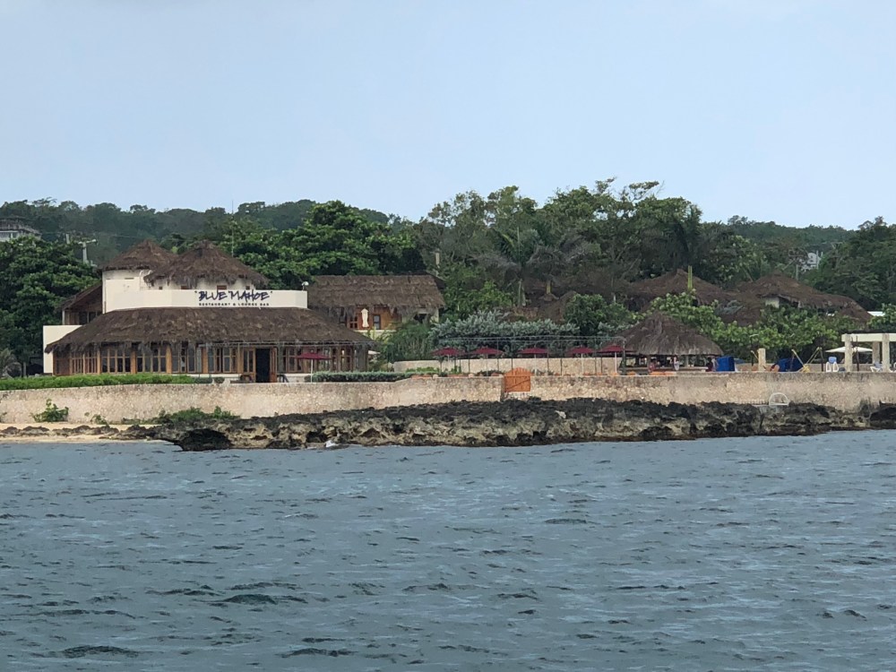 6YX0cIBZRwmnQUeDJ19m1w