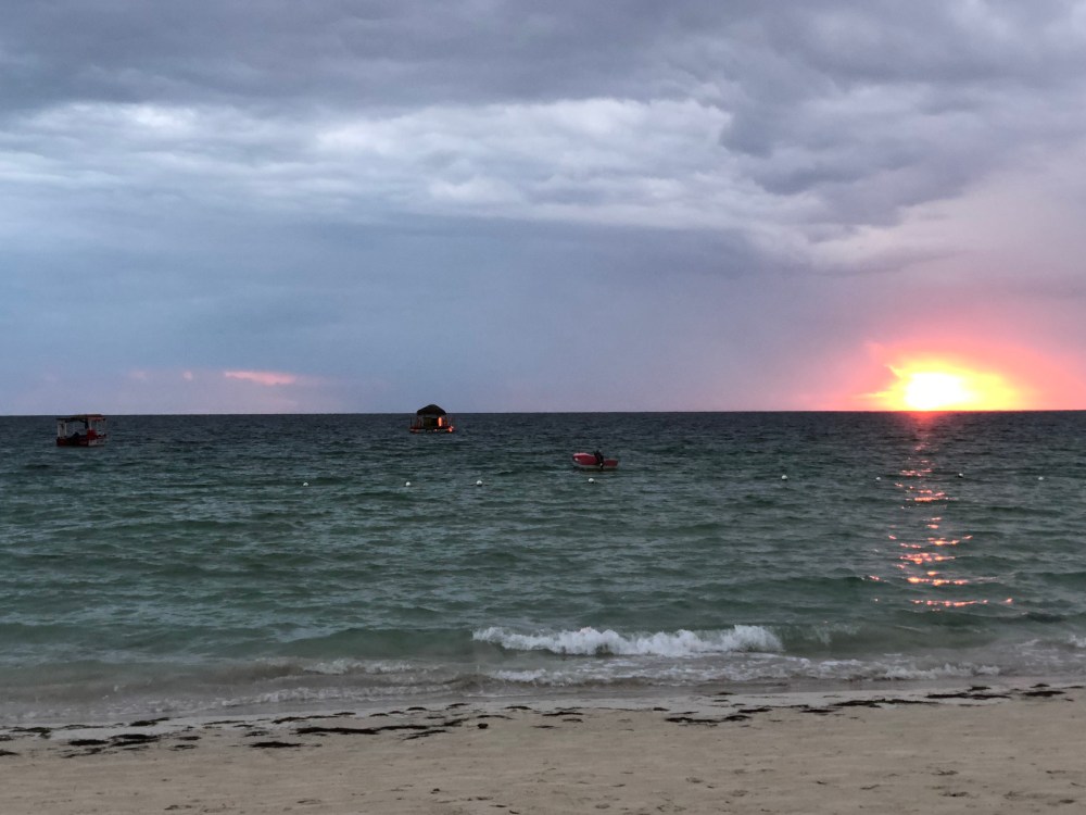 snS2XLm2Sd+UlQBRWmNkDg